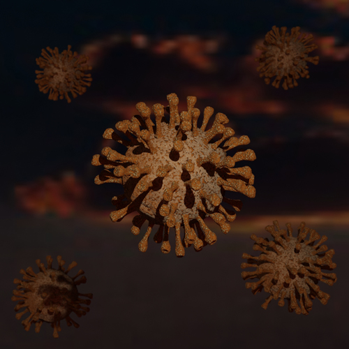 Bild Coronavirus